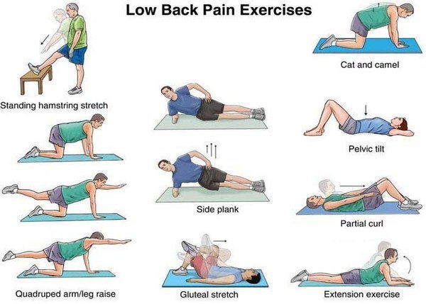 Relieving & Preventing Back Pain Using Resistance Training